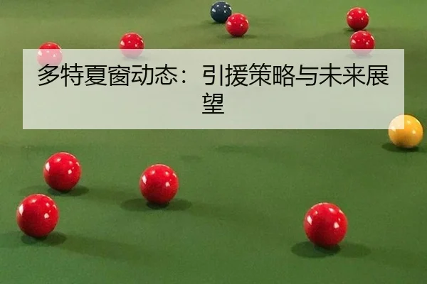 多特夏窗动态：引援策略与未来展望